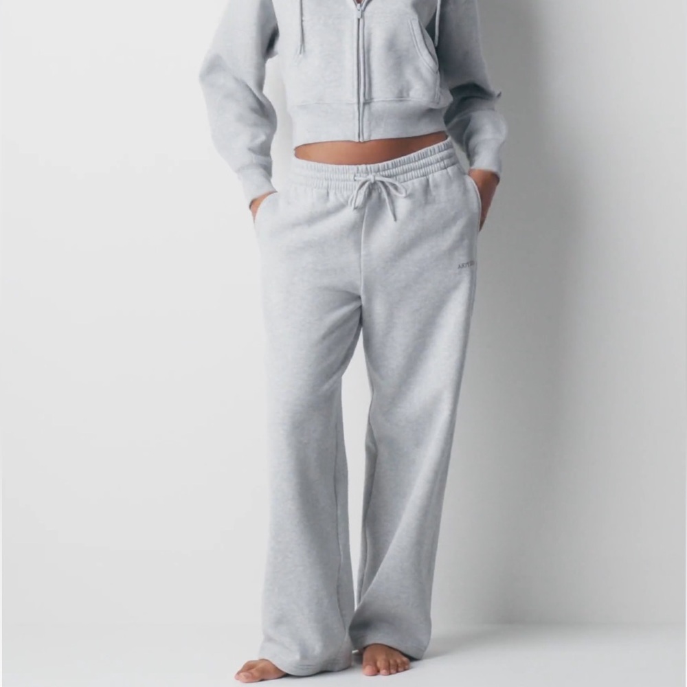 Aritzia Gray Wide Leg Pants